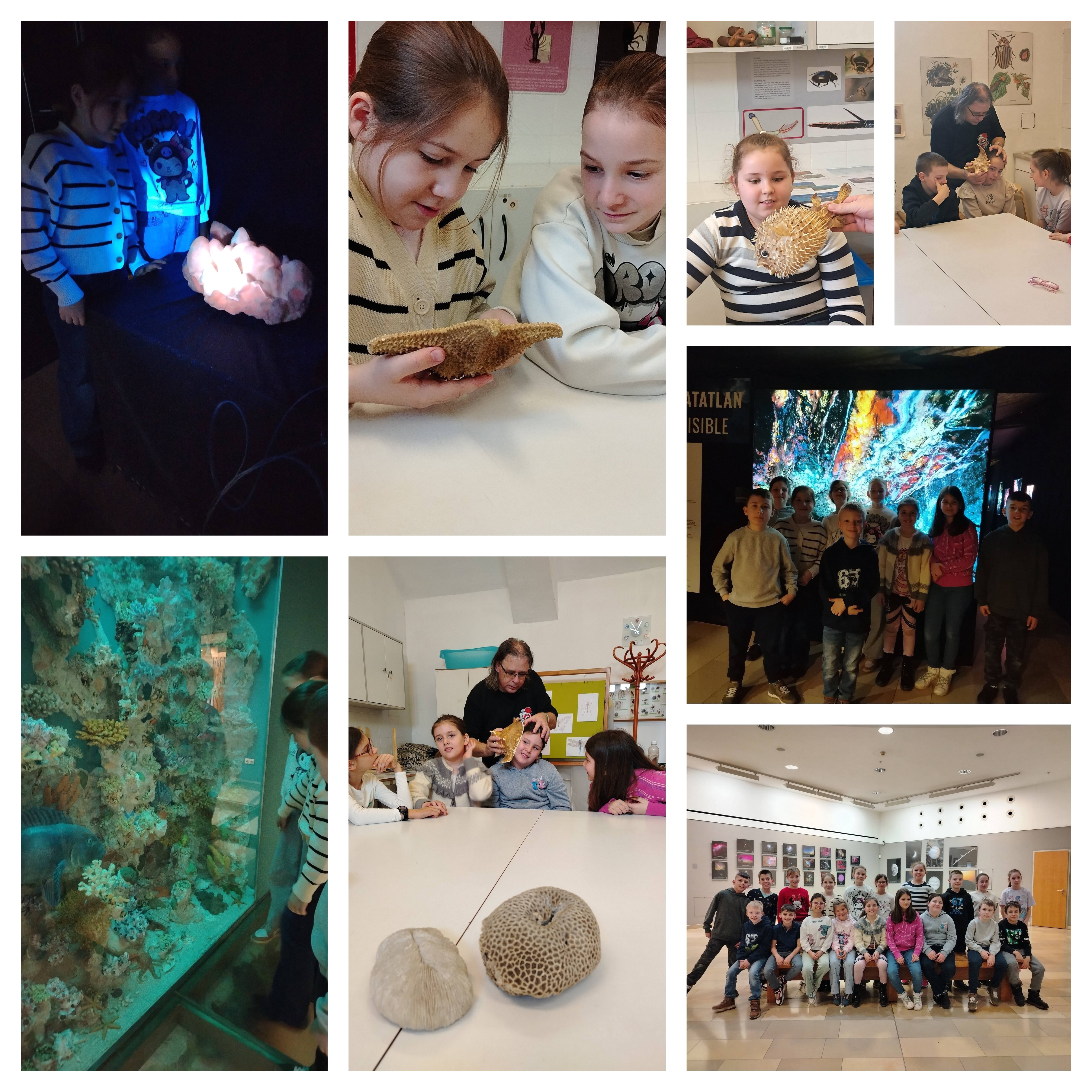 Korallzátonyok világa